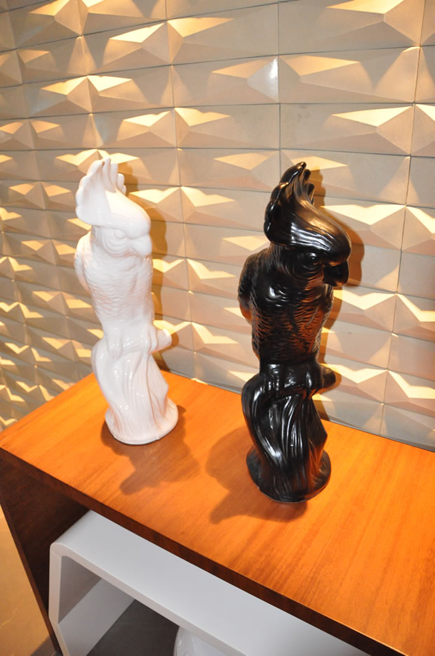 Cacatuas lindas, em preto e branco