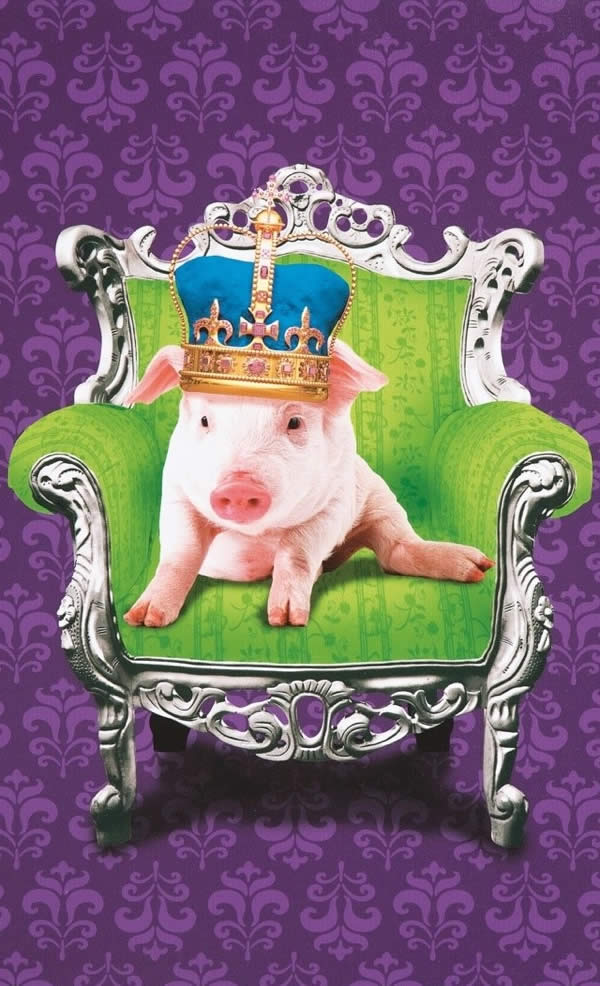 Sabrina-Mix-Decorar-Mais-por-Menos-201311-4