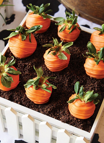 Olha os morangos confeitados aí de novo, como se estivessem plantados em uma horta de chocolate