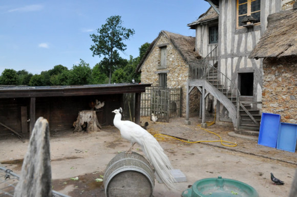Uma mistura de fazendinha com mini zoológico com animais exóticos