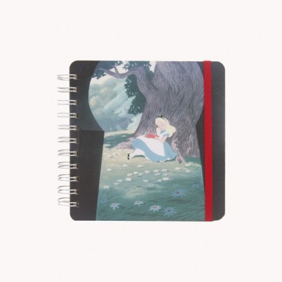 alice_caderno9