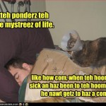 O gato pondera sobre os mistérios da vida. Por exemplo, quando o humano está doente e vai ao veterinário de humanos, ele não precisa usar um cone.