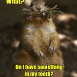 O que? Tem alguma coisa no meu dente?