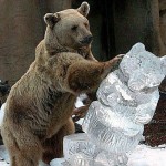 Não... Faça de novo... Eu pareço gordo!