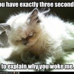 Você tem exatos 3 segundos... para explicar porque me acordou.