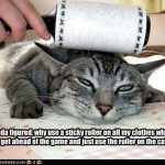 Então Linda pensou: "por que passar o rolo em todas as roupas quando eu posso me adiantar e passar o rolo no gato"?