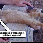 Não tem mais fim os encartes que eles colocam nessas revistas?