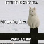 Não me chame de "xaninho". Eu NÃO vou descer. Venha me pegar.