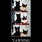 BOCEJO Sim, é contagioso.