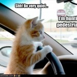 Shh! Fique bem quieto... Estou caçando pedestres!