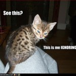 Vê isso? Sou eu IGNORANDO você.